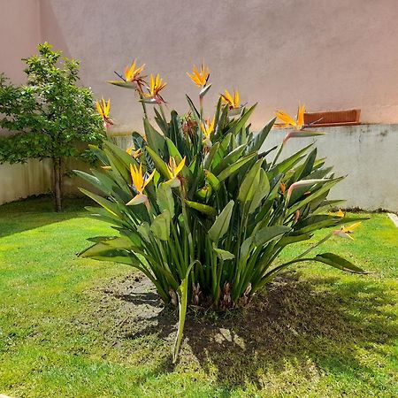 A Casa da Avó Ana Arneiro das Milharicas Exterior foto