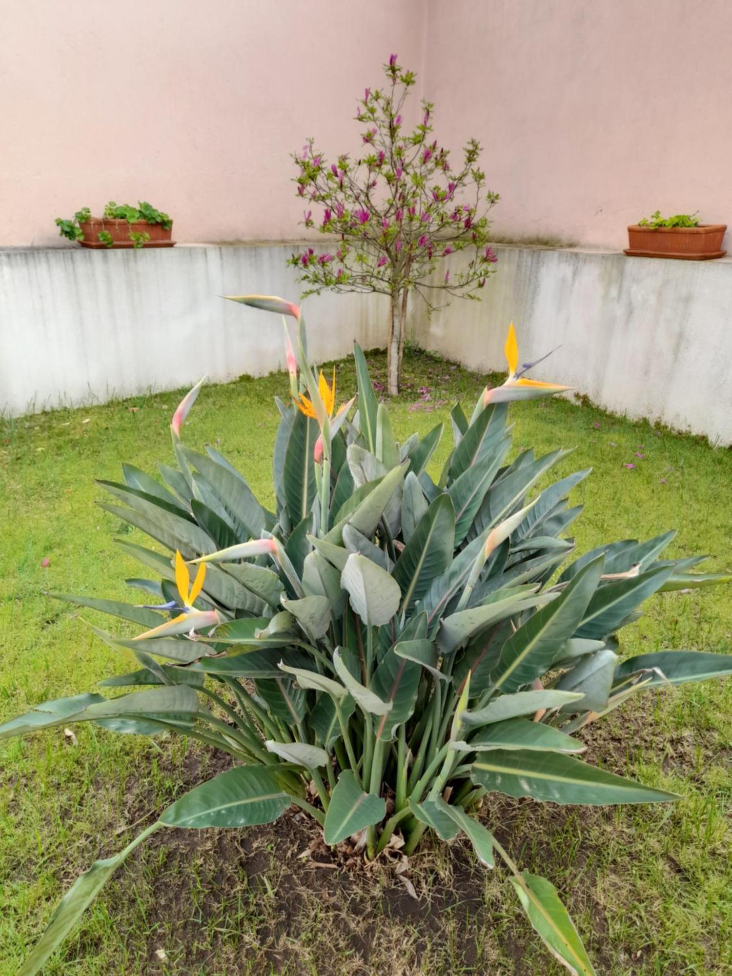 A Casa da Avó Ana Arneiro das Milharicas Exterior foto