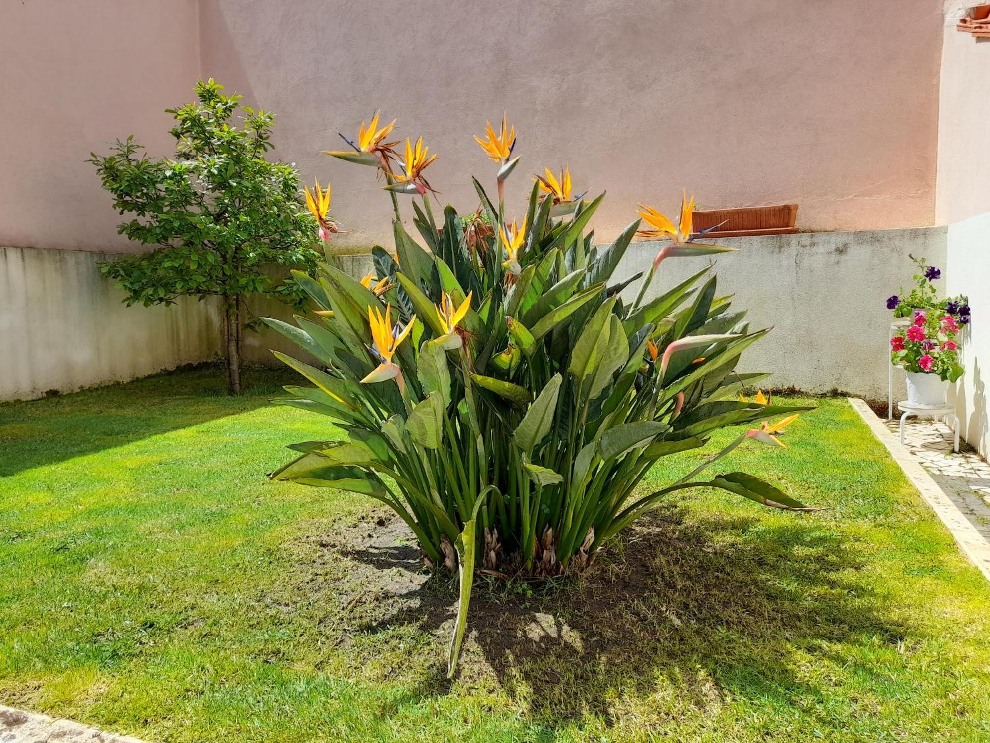 A Casa da Avó Ana Arneiro das Milharicas Exterior foto
